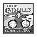 logo for Pure Catskills