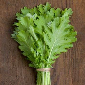 Mixed Greens Salad with Apples and Maple-Walnut Oil Dressing