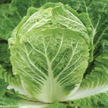 Quick uses for Napa Cabbage  